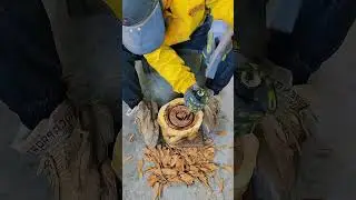 This Simple Wood Carving Gets Better With Every Cut#WoodCarving #Woodworking