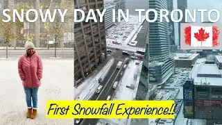 Toronto's First Snowfall, November 2022 | My First Snow Experience | Dream Come True