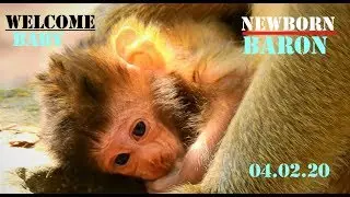 WELCOME TO ADORABLE NEWBORN BABY BARON// CONGRATS MOM BRIANNA SAFE DELIVERY.