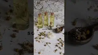 Perfume Making💕 #perfume #perfumemaking #fragrance #srcentsations