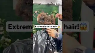 Thick coarse hair #hairtutorial #hairstyle