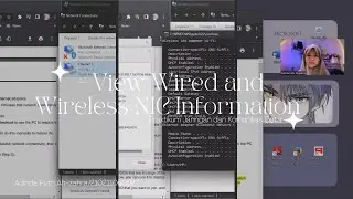 Lab 4.6.6 View Wired and Wireless NIC Information