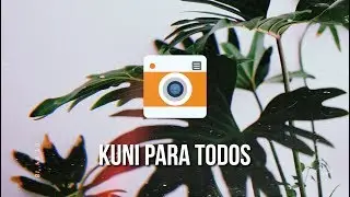 KUNI ANALOG GRATIS (IOS - ANDROID) ✨📸💕🐰