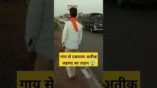 UP Police Vehicle Carrying Atiq Ahmed Hits Cow In MP's Shivpuri 😱 #shorts #viral #trending #news