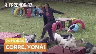 Momento fofura! Yoná se diverte com as mini-cabras durante o trato | A Fazenda 17
