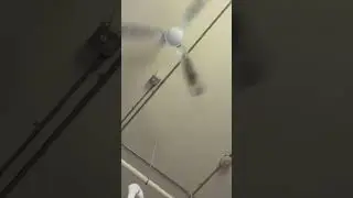 Canarm Industrial/Commercial Ceiling Fan