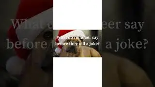 🤣 Christmas Jokes #34 🤣REINDEER JOKES