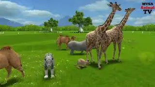 Paint Animals Tiger, Lion, Dinosaur, V/S  Elephant, Gorilla, Wolf, Mammoth Tiger 