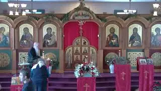 Divine Liturgy 2026-01-11