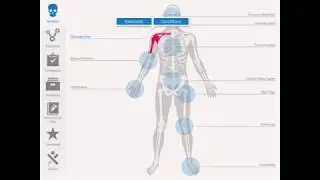 TherexRx App Preview (Therapeutic Exercise Prescription)