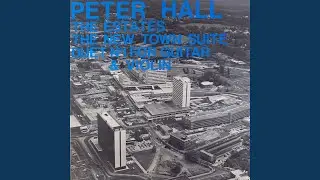 The Estates (Recorded Live In Bracknell, 18/10/75)