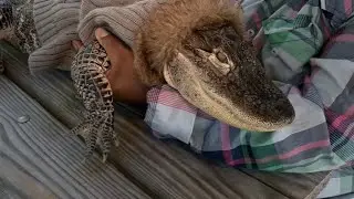 Channel 11 Exclusive: Owner of alligator seen in local Walmart shares his story