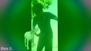 El baile zukulemto de Zumboy JAJA xD