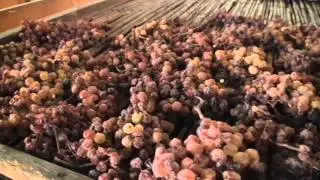 Andar par cantine 5 - Pieropan - SOAVE VENETO.m2ts