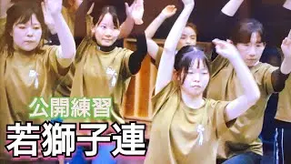 阿波踊り『若獅子連』公開練習「縁起の良い獅子の踊りと品のある女踊り」