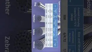 Type of ACSR conductor
