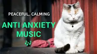 Calming Music for Cats with Anxiety! Cat Music to Make them Relax and Fall Asleep 😴