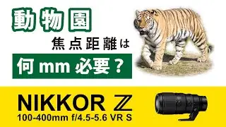 超望遠ズームレンズ　動物撮るのに何mm必要？｜Z9 & Z100-400mm f/4.5-5.6 VR S｜大阪市　天王寺動物園【撮りたくて練り歩き#9】OSAKA TENNOJI ZOO