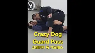 크레이지 독 가드 패스 Crazy Dog Guard Pass (기술도움 : 박현석) #크레이지독 #crazydog
