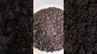 DIY In-Ground Vermicomposting: Easy Setup with a Plastic Pail & Gamma Lid!