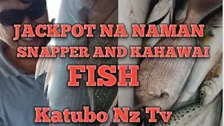 NAKAJACKPOT DIN SUNOD SUNOD ANG KAGAT KAHAWAI FISH AND SNAPPER FISH