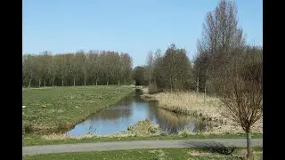Natuurwandeling door het N P  Hollandse Biesbosch