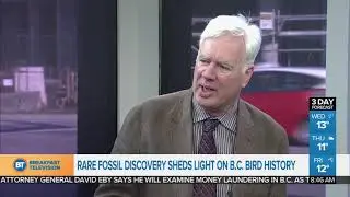 Rare fossils shed light on B.C. bird history