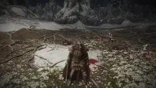 ELDEN RING Boss fight King_Locbok & Kaden244