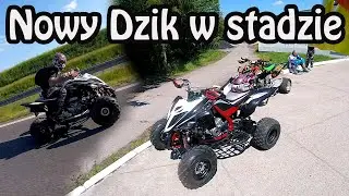 Nowy Dzik w Stadzie! - Daro w końcu w siodle