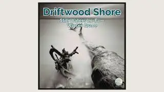 Driftwood Shore — Still Waters Lo-Fi — Winter Grace