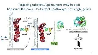 Targeting RNA Structural Elements to Enhance ASD Gene Expression - Matthew Disney, PhD