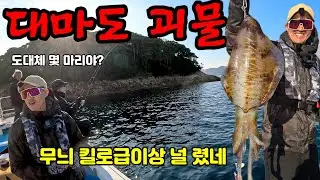 대마도 괴물 무늬오징어 팁런 나오면 킬로급이상 첫 대마도 낚시여행🫡붕어꾼이 대마도 무늬잡으러🤗#팁런 #대마도 #무늬오징어 #팁런선상 