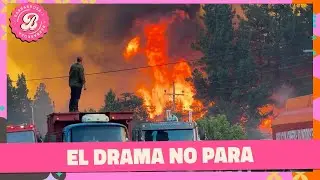 URGENTE: Se reavivaron los focos de incendio en el sur por el calor | #ALaBarbarossa