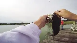 Early Summer Farm Largemouth: Smashing the Z-Craw
