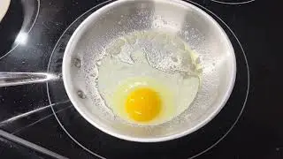 Eggs on Stainless Steel