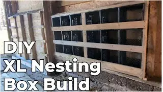 Winter Coop Nesting Box Build | Cheap DIY | Large Chicken Flock | Farm Work | Homesteading Ep. 104