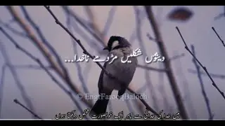Mast Tawakali: The Famous Balochi Song of Infatuation | The Song is with Lyrics & Urdu Description