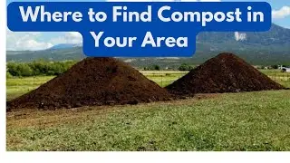Ask Gardener Lynn # 27 Where to Find Compost