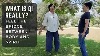 What is Qi Really? Feel the Bridge between Body and Spirit