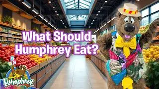 FEED ME!!! | Special COOK with Humphrey B. Bear | LEARN about food