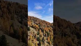 Pointe des Trois Communes depuis le mythique Col de Turini #alpesdusud