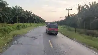 kebun Sawit 