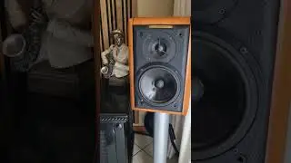 Sonus Faber Minuetto and Musical Fidelity A1