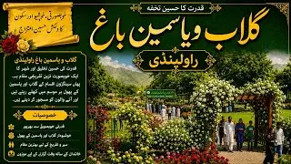 Chaklala Scheme 3 Rawalpindi Winter Family Festival 2026|Rose Garden #4k #chaklala