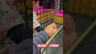 #trampoline #park #higher #bounce #torino #trampolinepark
