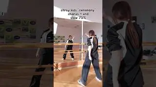[MIRRORED&SLOW] Stray Kids 