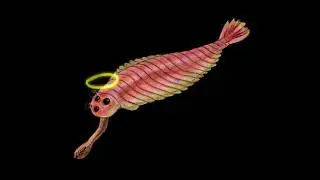 Opabinia - vocal version