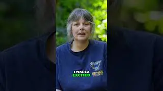 Witnessing a Sasquatch: My Unbelievable Encounter