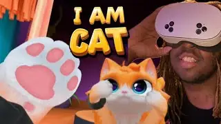 ВИДЯ МИР КОШАЧЬИМИ ГЛАЗАМИ VR Я &mdash; КОТ!