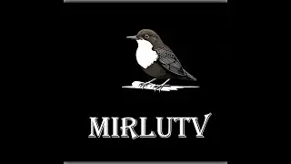 desayunando con MIRLUTV